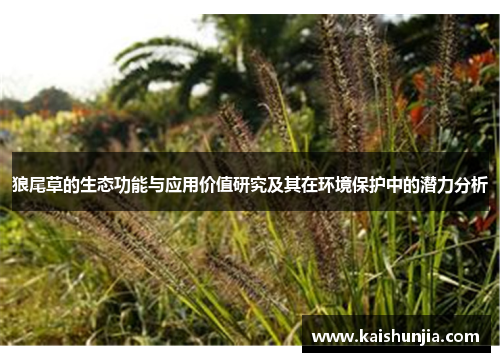 狼尾草的生态功能与应用价值研究及其在环境保护中的潜力分析